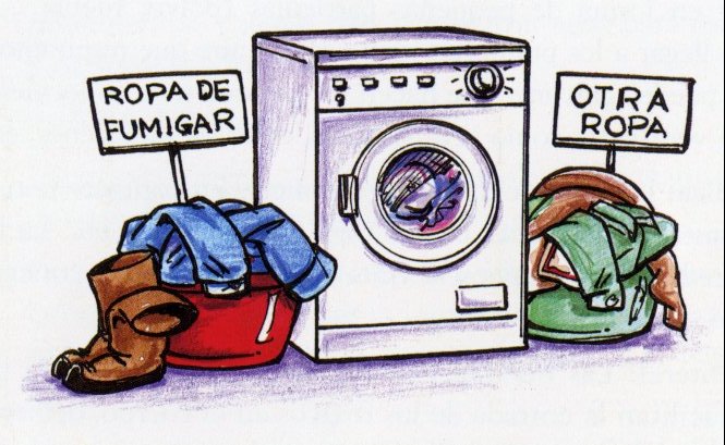  CAMPO FREMAP (80)  IMAGENES DIBUJOS JPG